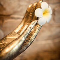 Avatar 1770233270 ffddc720e56be1ac838d