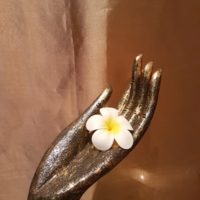 Avatar 1770233299 2f43ddc78e176173aa97