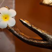 Avatar 1770687639 fa525a1be6d800991e22