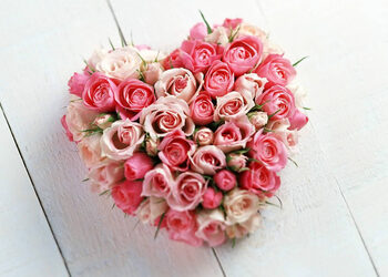 Floresdesanvalentin647374