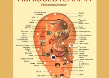 Auriculoterapia