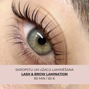  special deal 2026 a4  8